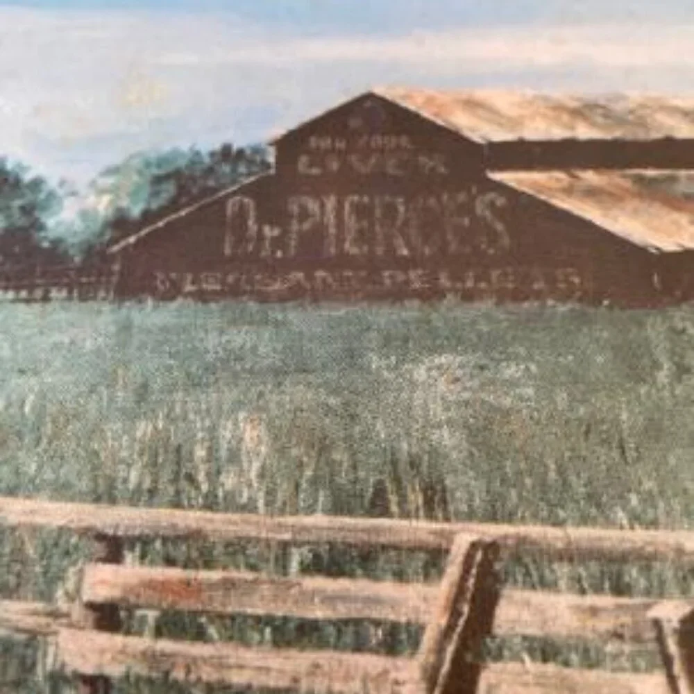 Vtg Dr. Pierce's Pleasant Pellets Print